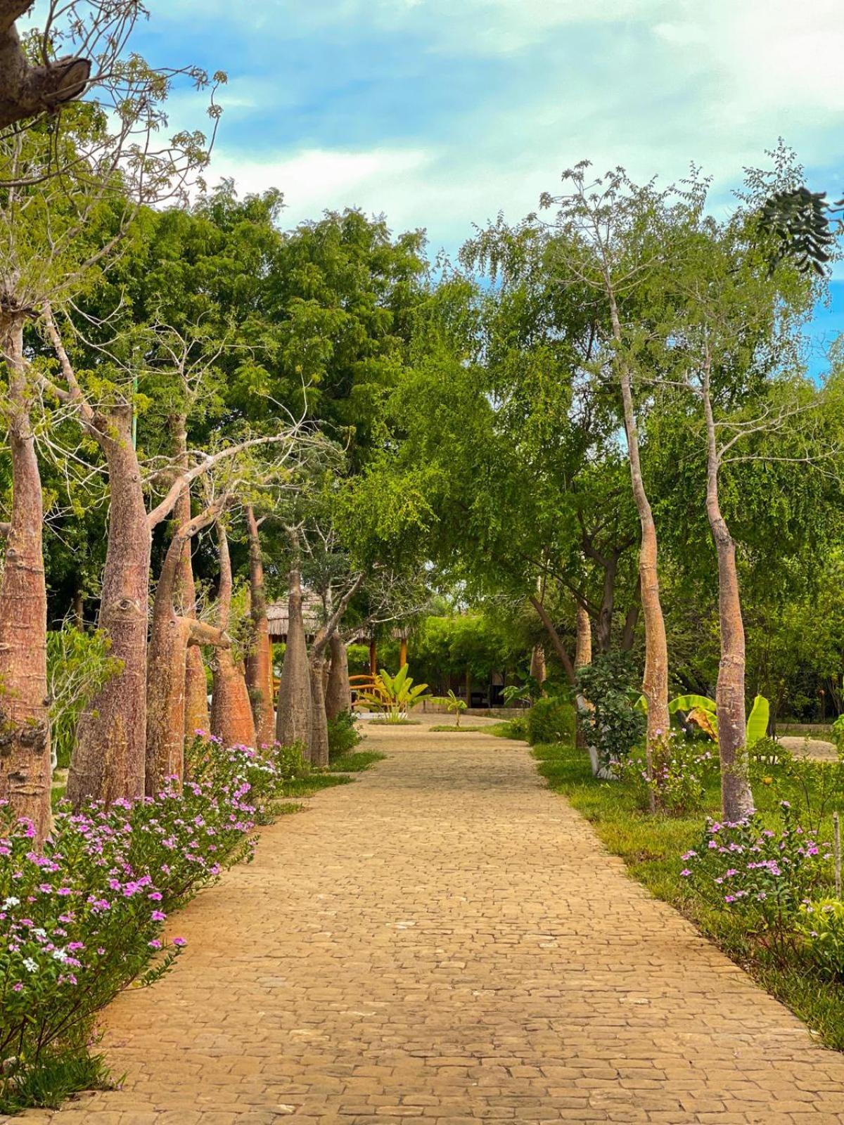 Vovo Telo Lodge Тулиара Экстерьер фото