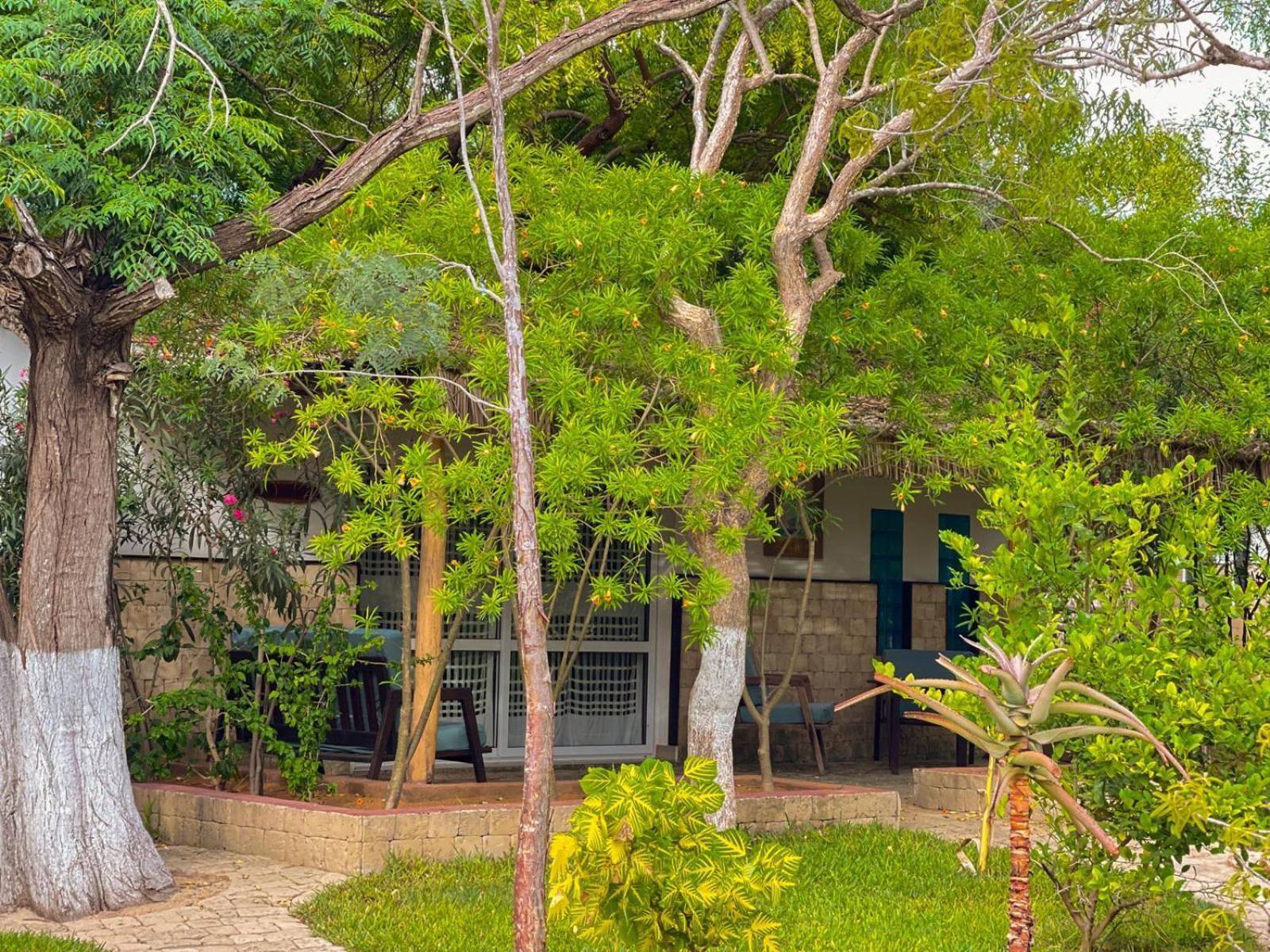 Vovo Telo Lodge Тулиара Экстерьер фото