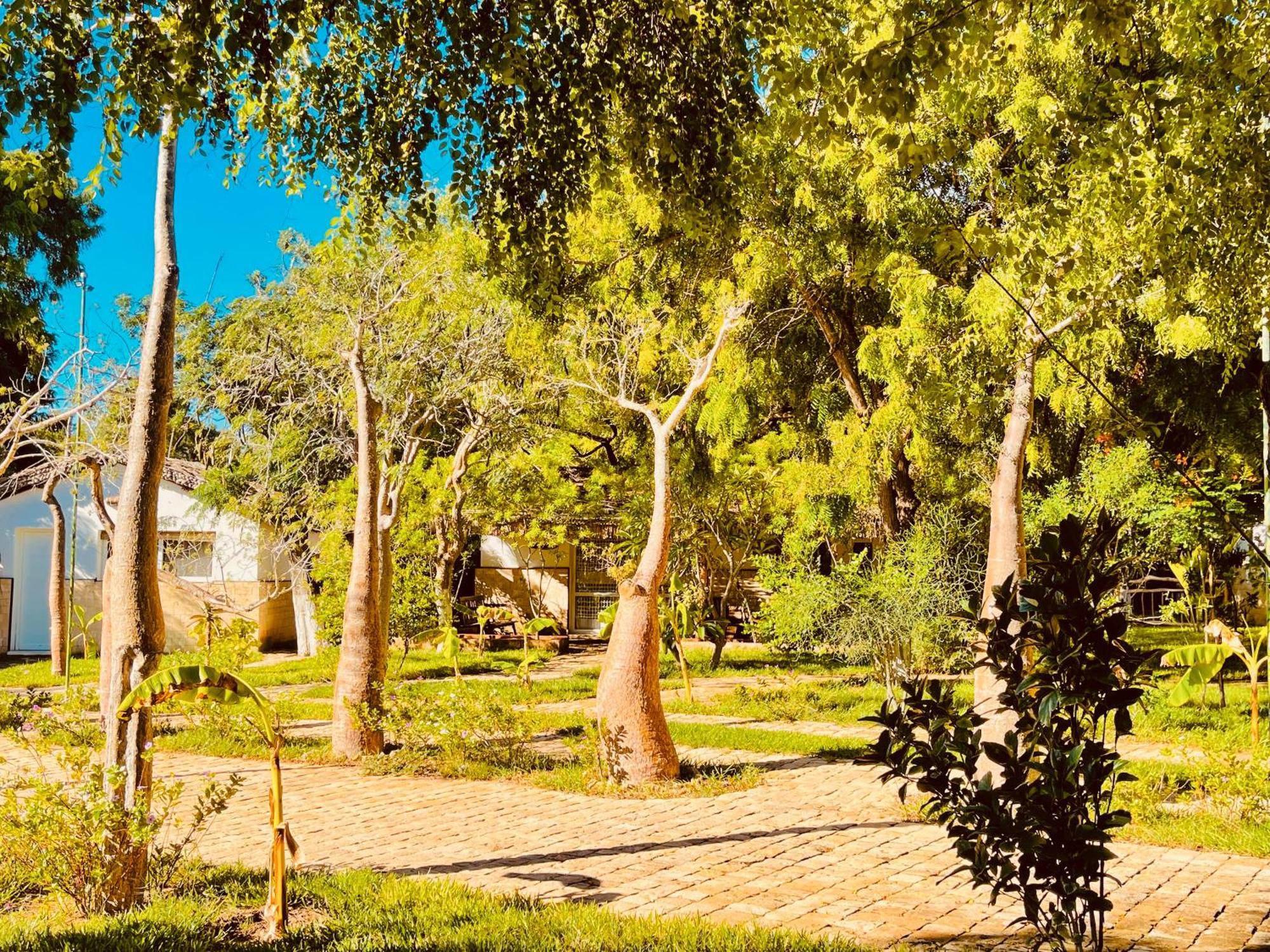 Vovo Telo Lodge Тулиара Экстерьер фото
